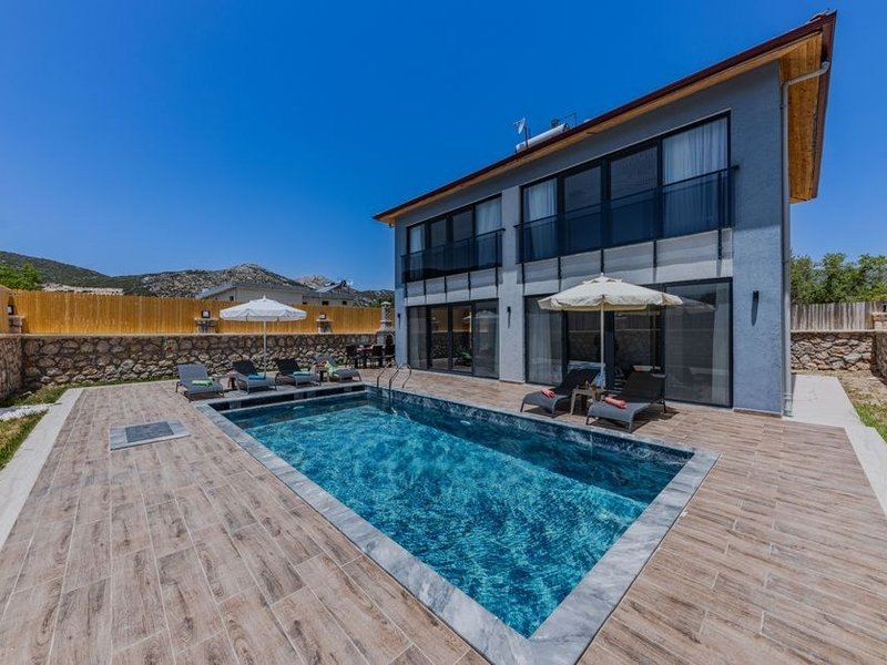 Terrasse de plain-pied en pierre autour du jardin et de la piscine d'une villa de Charbonnières-les-Bains