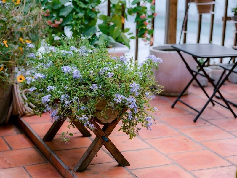 Terrasse d'une maison d'un hameau de Larajasse carrelée d'un grès résistant au gel, ouverte sur les prés du bocage