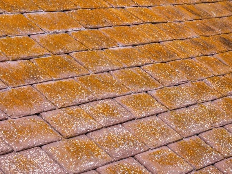 Démoussage d'un grand versant en tuile béton envahi de mousse verte sur un pavillon de lotissement aéré à Chassieu
