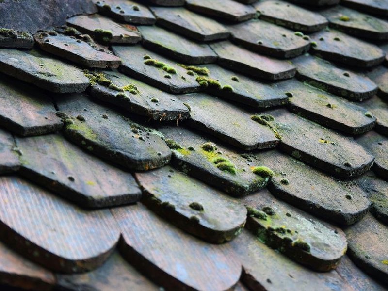 Pan nord d'une toiture de hameau à Chevinay tapissé de mousse, à démousser et traiter avant l'hiver