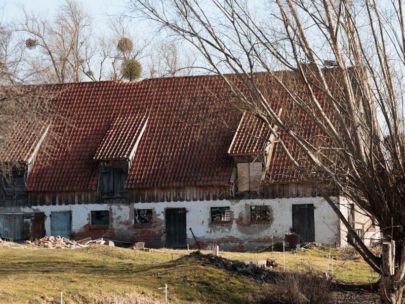 Réfection d'une grande toiture en tuiles d'une longère et de ses dépendances sur le plateau de Communay