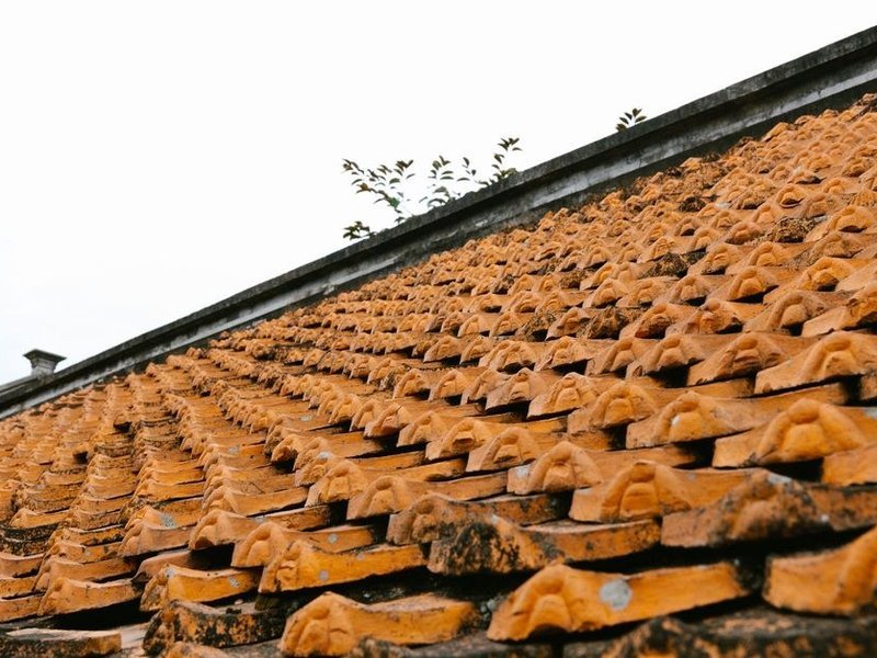 Longue pente de toiture en tuiles d'un pavillon du plateau de Dardilly, versant à démousser avant réfection