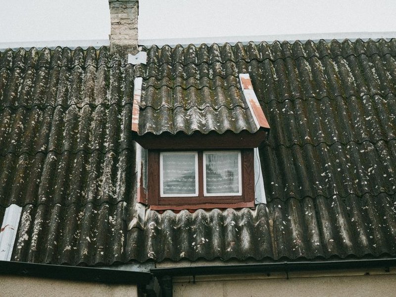 Démoussage d'une toiture en tuile béton couverte de mousse verte sur un pavillon récent de Décines, nettoyage du versant nord