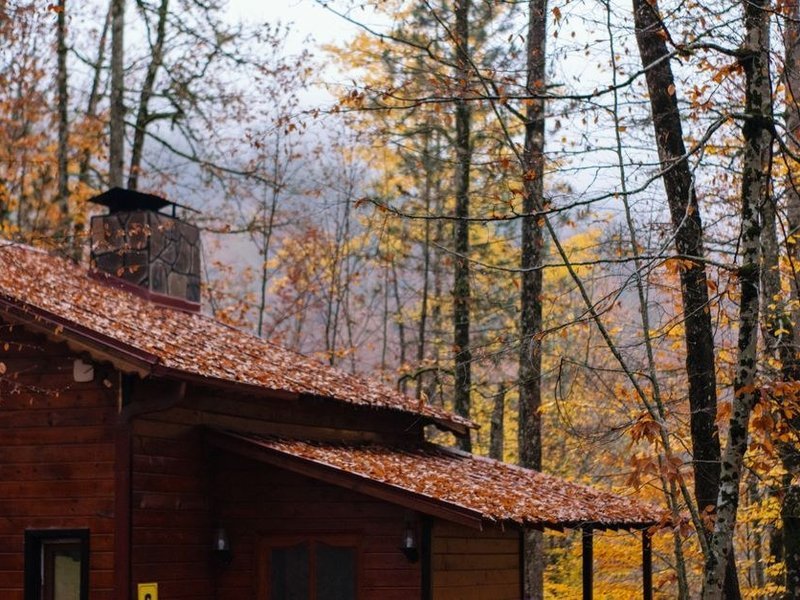 Toit d'une villa boisée de La-Tour-de-Salvagny sous les arbres, gouttières à dégager des feuilles à l'automne