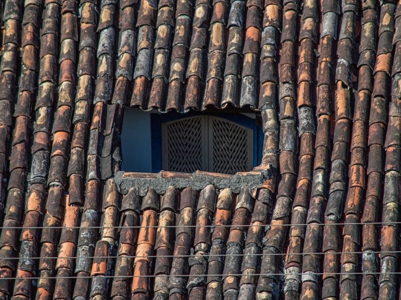 Versant en tuile ancienne d'une maison de bourg de Lentilly, éléments sains réemployés lors d'une réfection