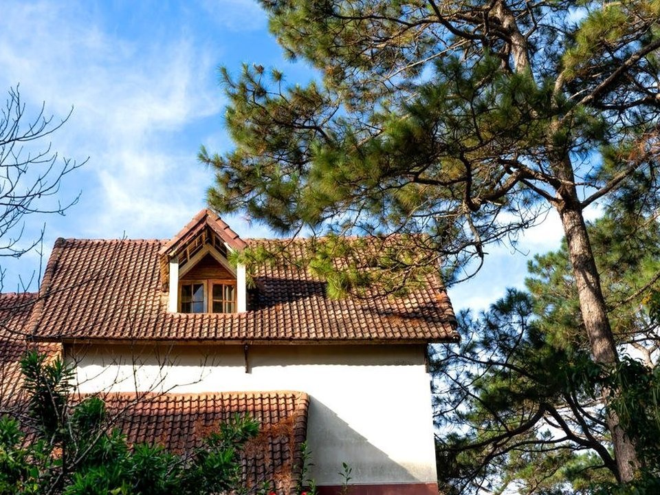 Toiture en tuiles d'une maison de Lentilly à l'ombre des grands arbres, versant côté bois gagné par la mousse à démousser