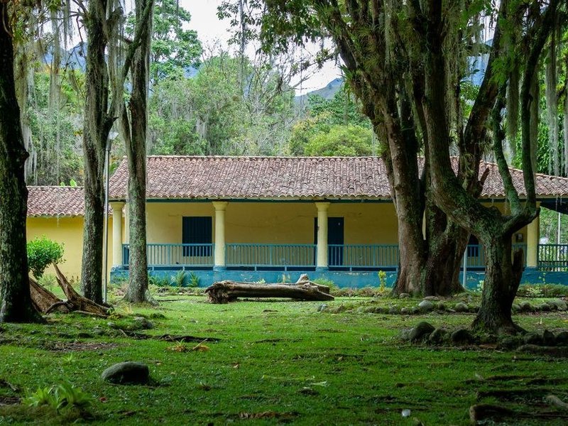 Maison boisée de Marcy-l'Étoile sous de grands arbres, versant nord ombragé propice à la mousse