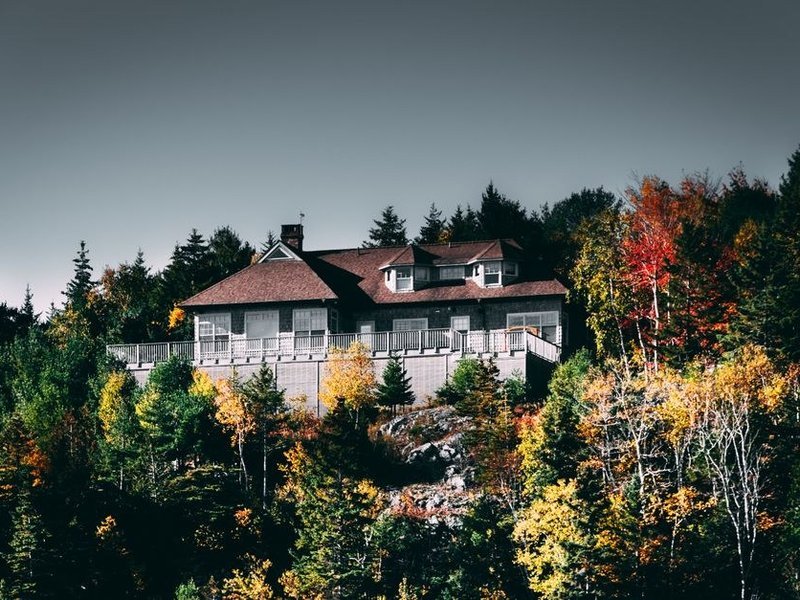 Versant nord verdi de mousse à l'ombre d'un coteau boisé à Pollionnay, à démousser puis traiter