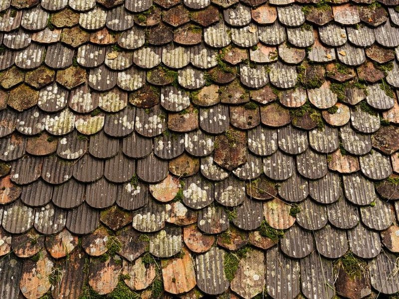 Démoussage d'un grand versant en tuiles mécaniques sur un pavillon de lotissement de Saint-Bonnet-de-Mure, traitement de la mousse au pulvérisateur