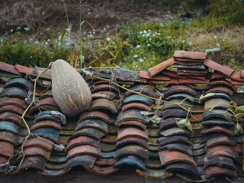 Réfection du long versant en tuiles d'une ancienne ferme de la plaine de Saint-Bonnet-de-Mure, dépose de la couverture et contrôle des liteaux