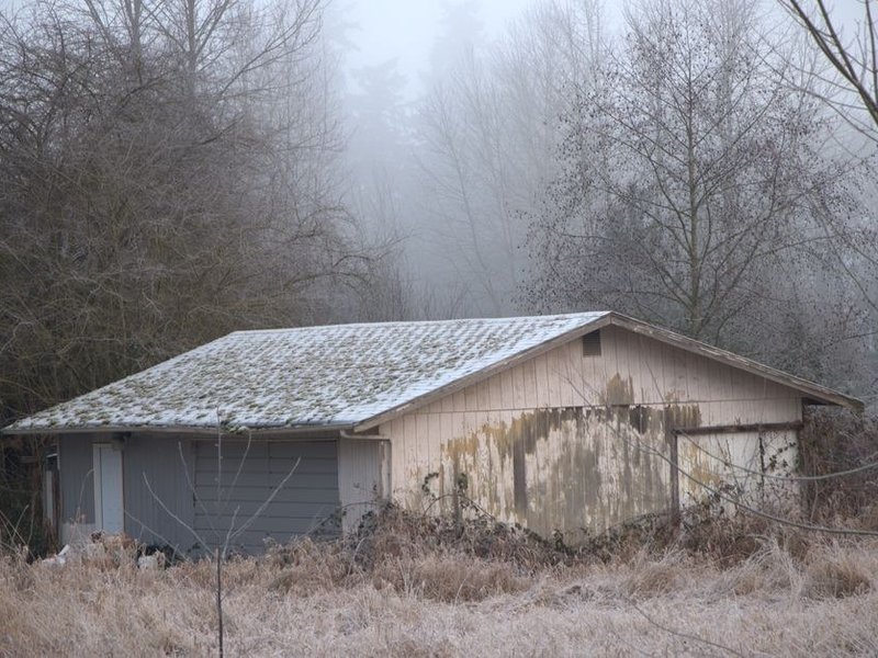 Versant d'ombre verdi de mousse en bordure du bois de Serres à Saint-Genis-les-Ollières, à démousser puis traiter