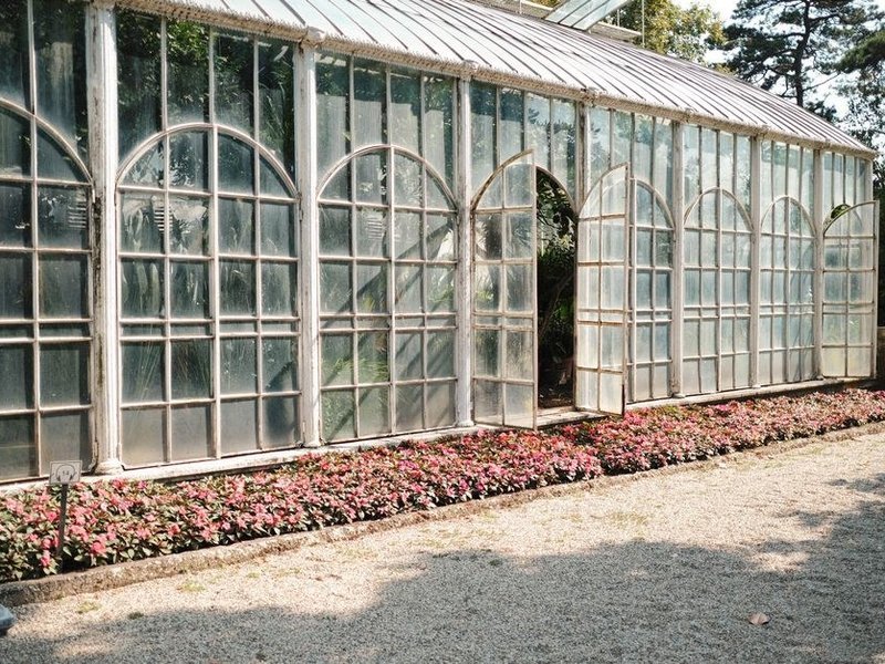Véranda et jardin d'hiver anciens d'une demeure de Charbonnières-les-Bains repris en menuiserie bois et vitrage isolant