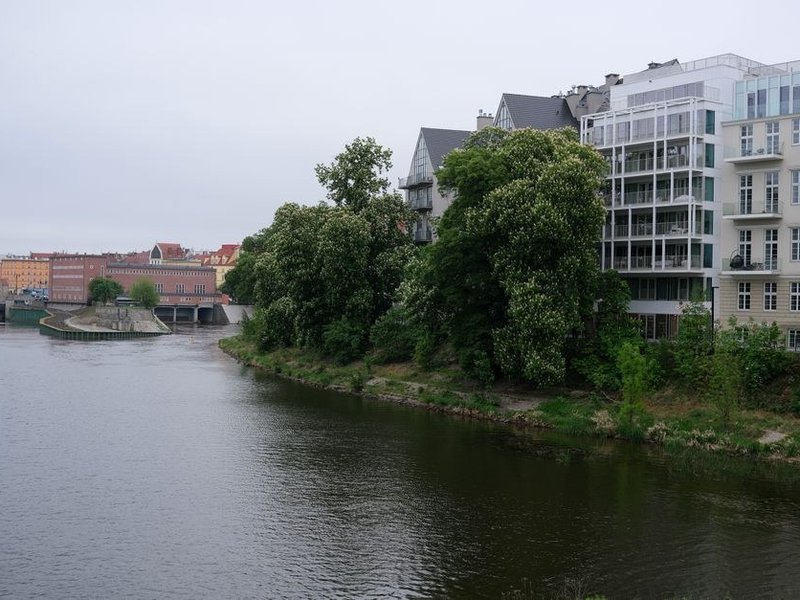 Fenêtre sur-mesure en bois-aluminium installée dans un appartement d'immeuble ancien de coteau à La Mulatière, ouverte sur la vue des quais
