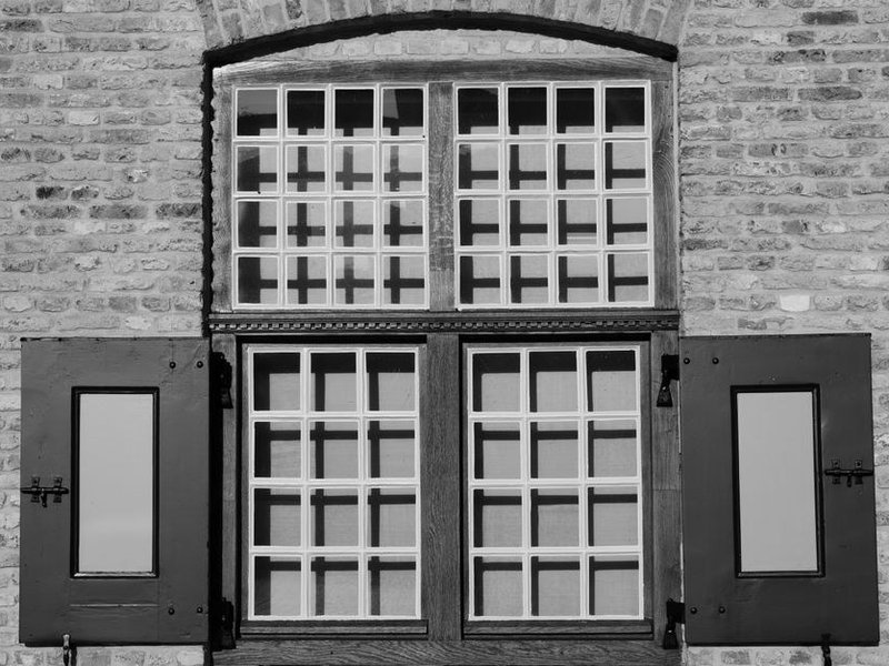 Fenêtres bois d'origine sur la façade d'ordonnancement d'un immeuble des années 30 à Monplaisir Lyon 8
