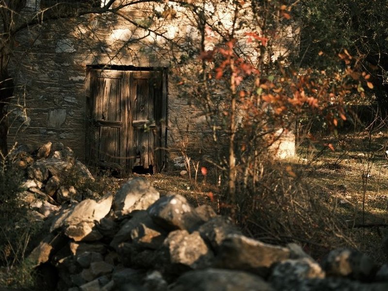 Porte en bois massif d'une cave voûtée d'une maison de vigneron dans le vieux village de Millery