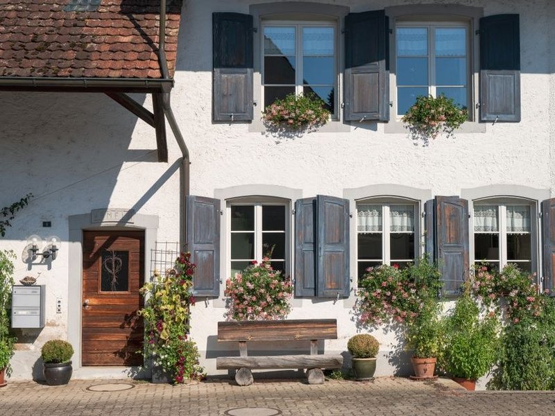 Volets battants rénovés sur la façade d'une maison bourgeoise de ville à Sainte-Foy-lès-Lyon, teinte harmonisée avec la rue