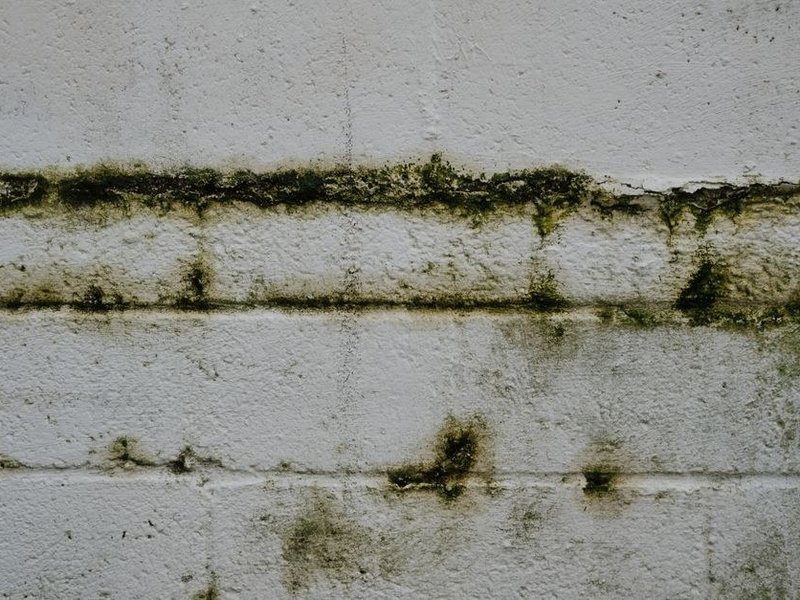 Pied de mur d'un rez-de-chaussée proche de la Saône à Albigny traité contre l'humidité, peinture cloquée grattée avant application d'un produit assainissant