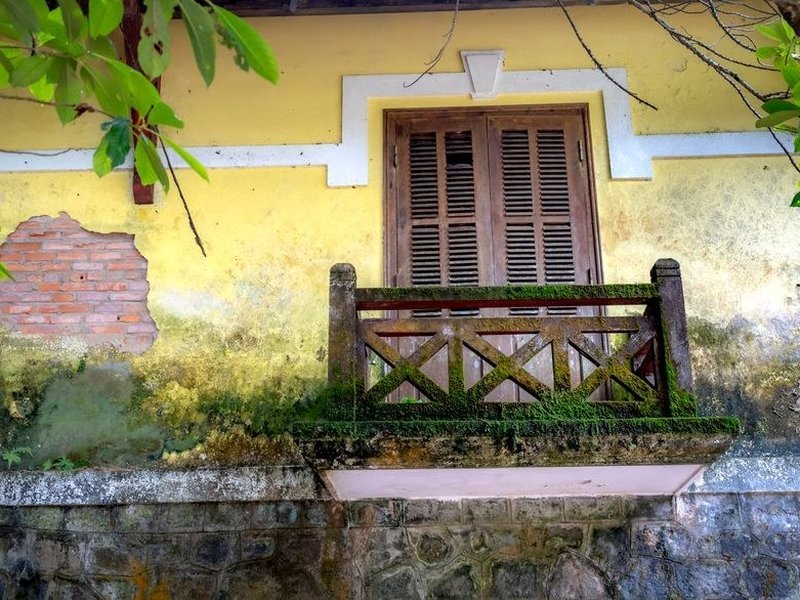 Façade verdie d'un pavillon de Cailloux-sur-Fontaines tourné vers le coteau boisé, mousses et salissures à traiter avant reprise et remise en peinture