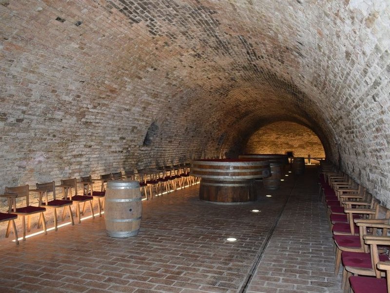 Cave voûtée d'une maison de vigneron de Millery assainie et éclaircie, murs traités contre l'humidité avant peinture minérale