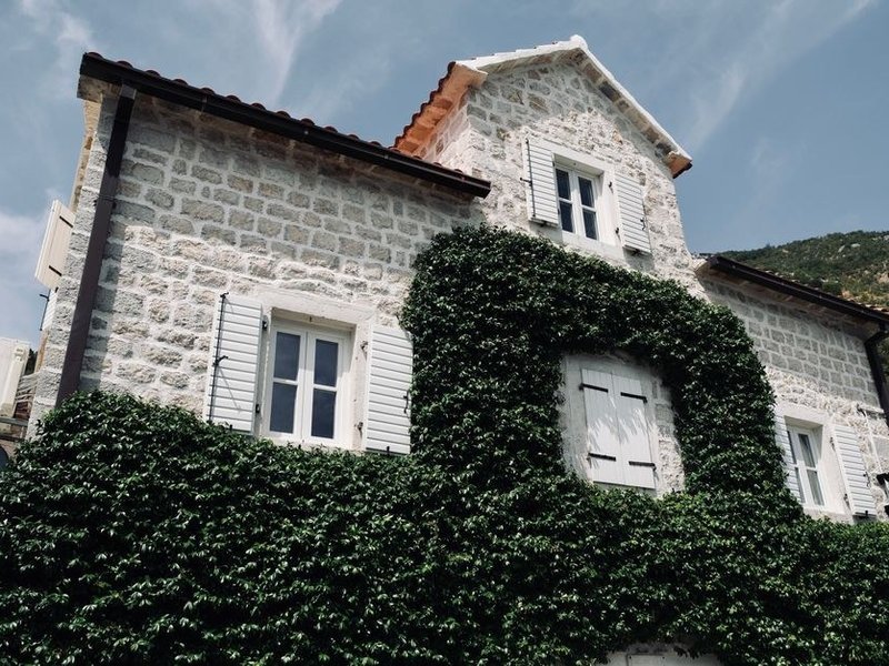 Façade verdie d'une maison à Pollionnay brossée et traitée à l'antimousse au pied du coteau boisé avant ravalement et pose du revêtement