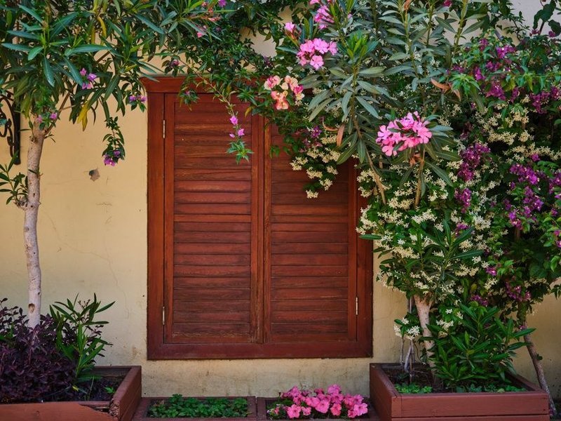 Volets et boiseries côté jardin d'une maison de Vernaison, bois grisé décapé et repris avant une peinture ou lasure microporeuse