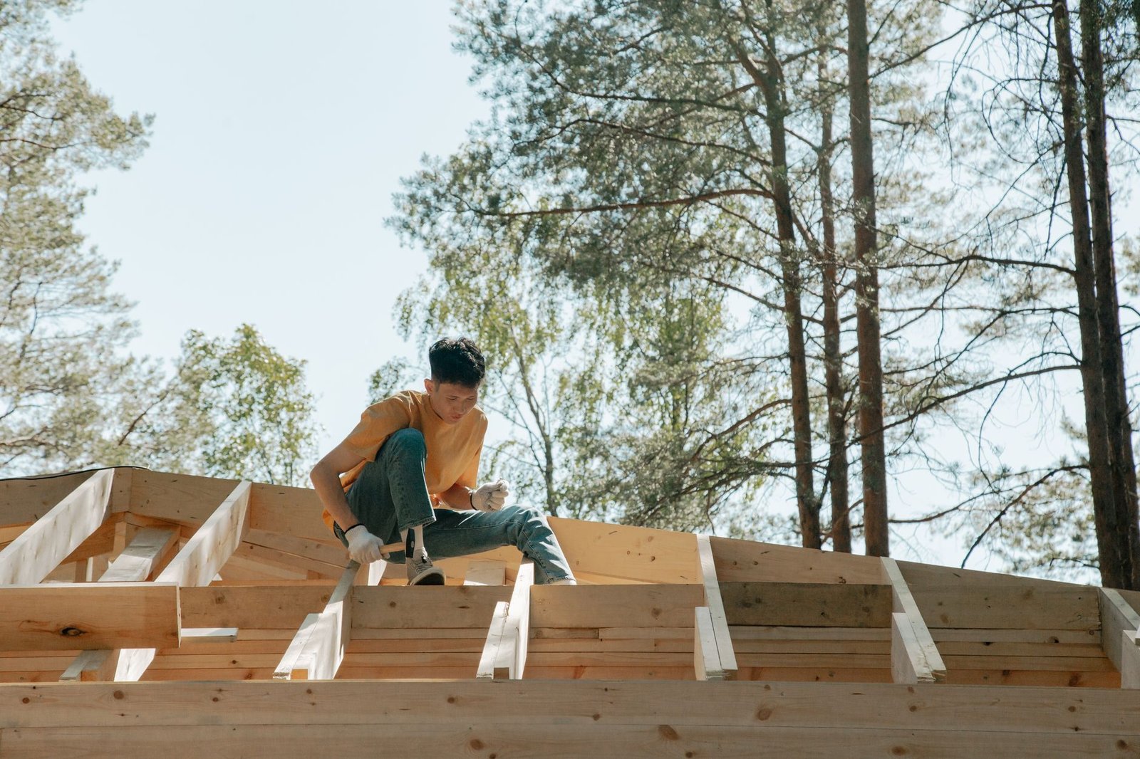 Travaux de charpente et zinguerie sur une toiture à Lyon